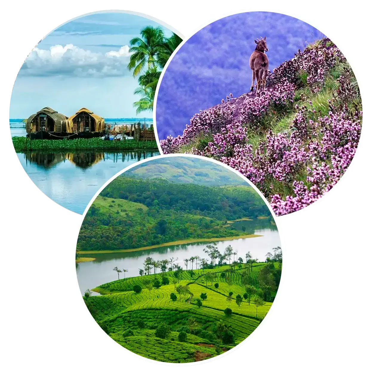 keralatravelpacks-best-kerala-tour-packages-and-kerala-taxi-packages